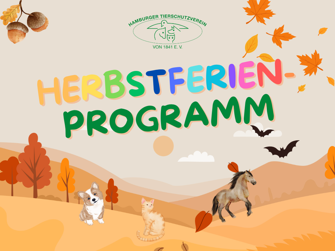 Herbstferienprogramm für Kinder
